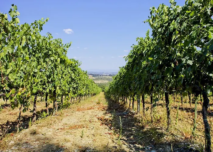 Fattoria Poggio Capponi Κατάλυμα σε φάρμα *
