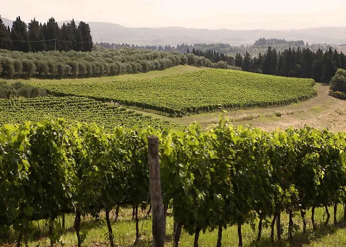 Fattoria Poggio Capponi * Montespertoli