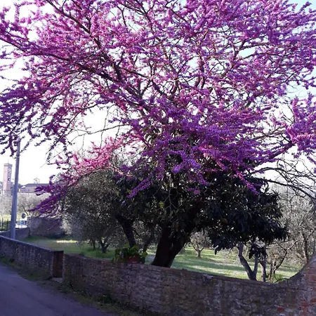 Fattoria Poggio Capponi